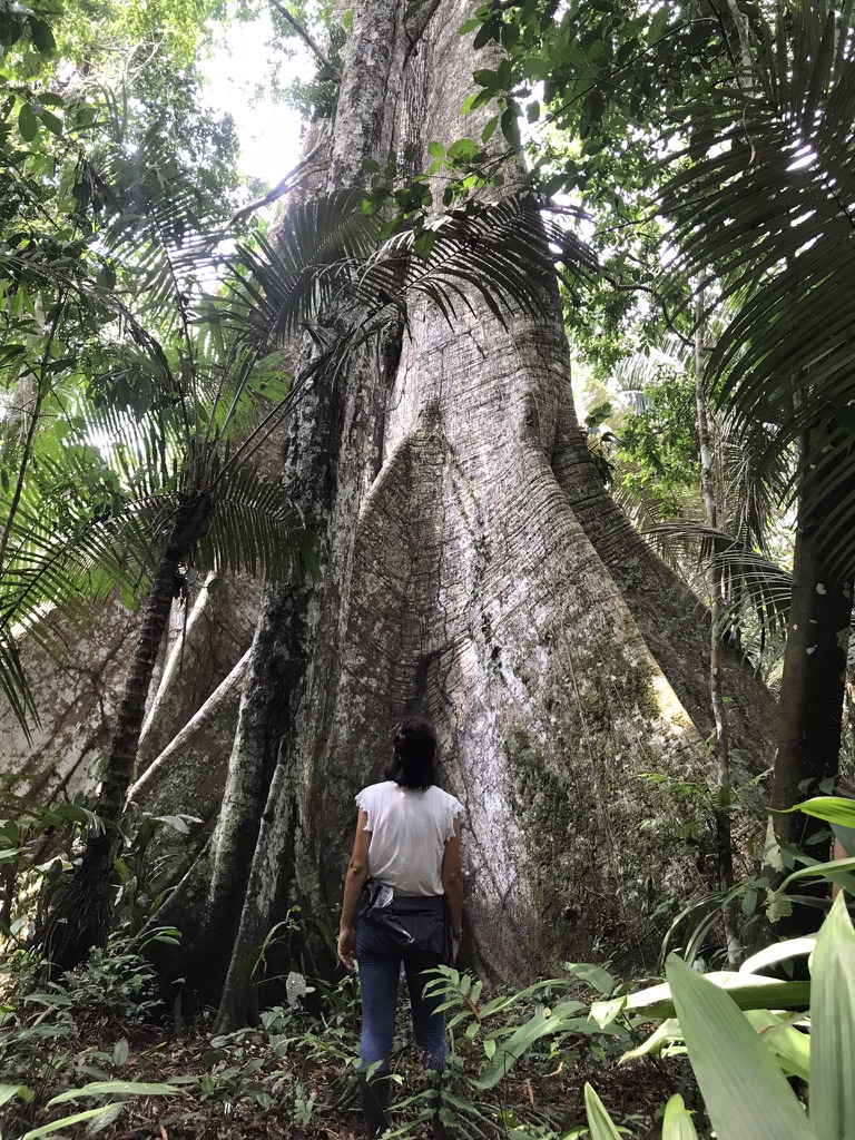 connessione con la natura